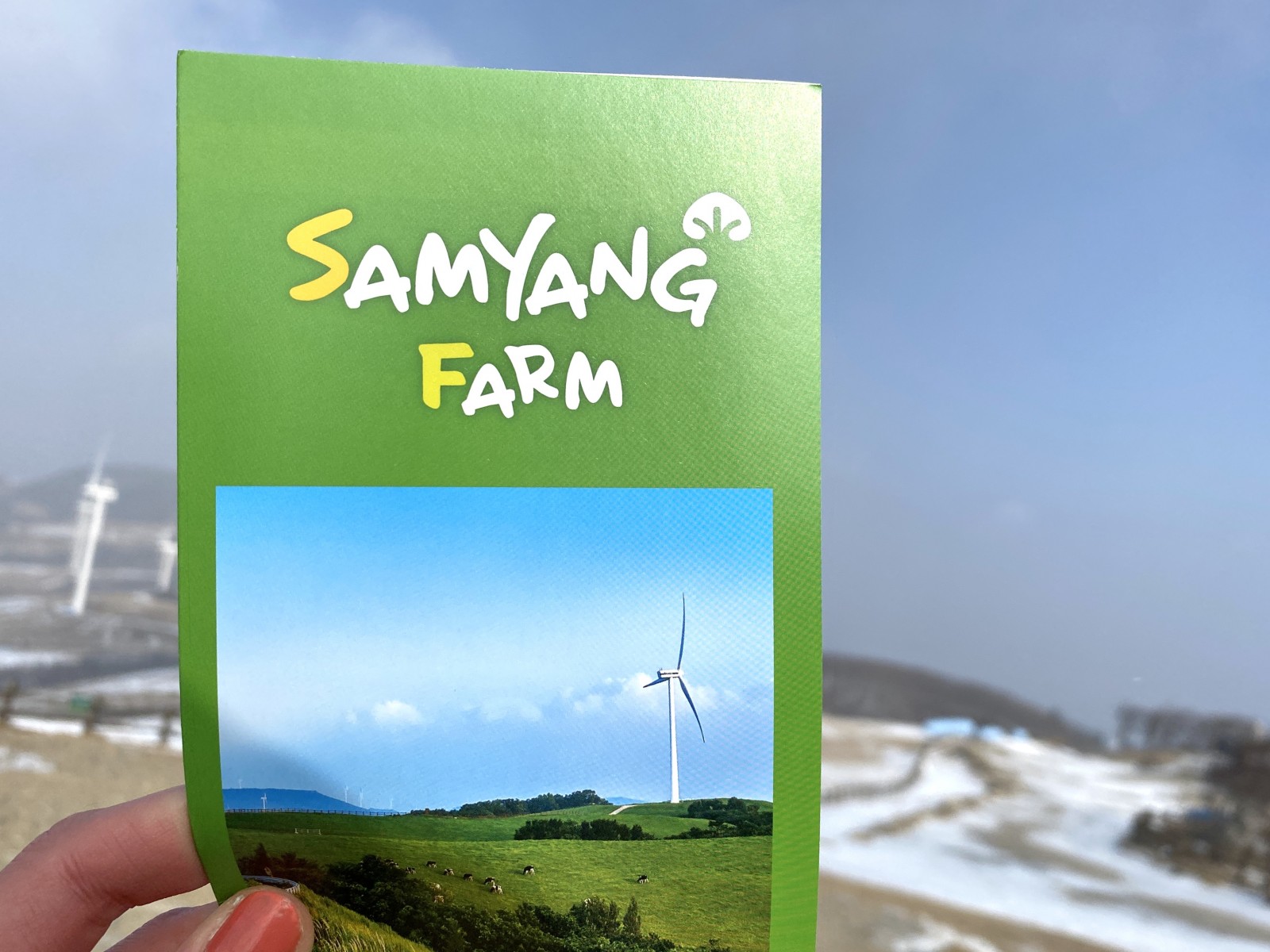 Ветровая электростанция в Южной Корее - Samyang Farm (삼양식품)
